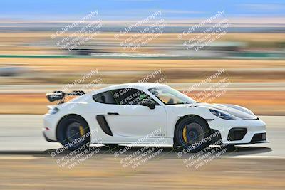 media/Dec-28-2024-Extreme Speed (Sat) [[dd5bc3b342]]/Purple Group/Session 3 (Turns 11 and 12)/